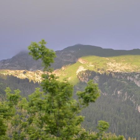 Domaine Du Grand Tetras Samoens Apartment ภายนอก รูปภาพ