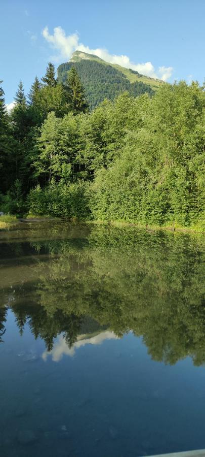 Domaine Du Grand Tetras Samoens Apartment ภายนอก รูปภาพ